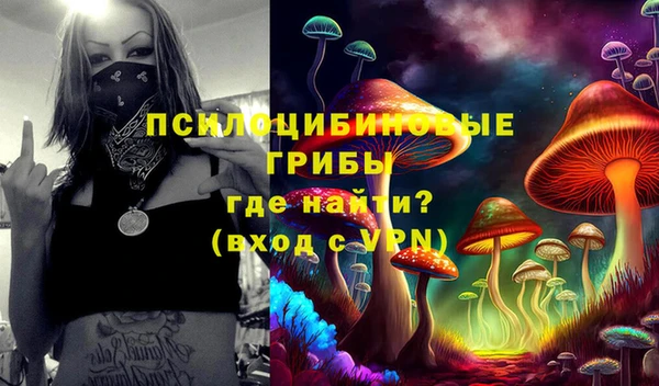 мдма Корсаков