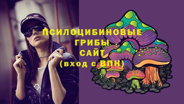круглые Коряжма