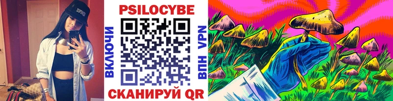 Купить где  Ворсма  Псилоцибиновые грибы Magic Shrooms 